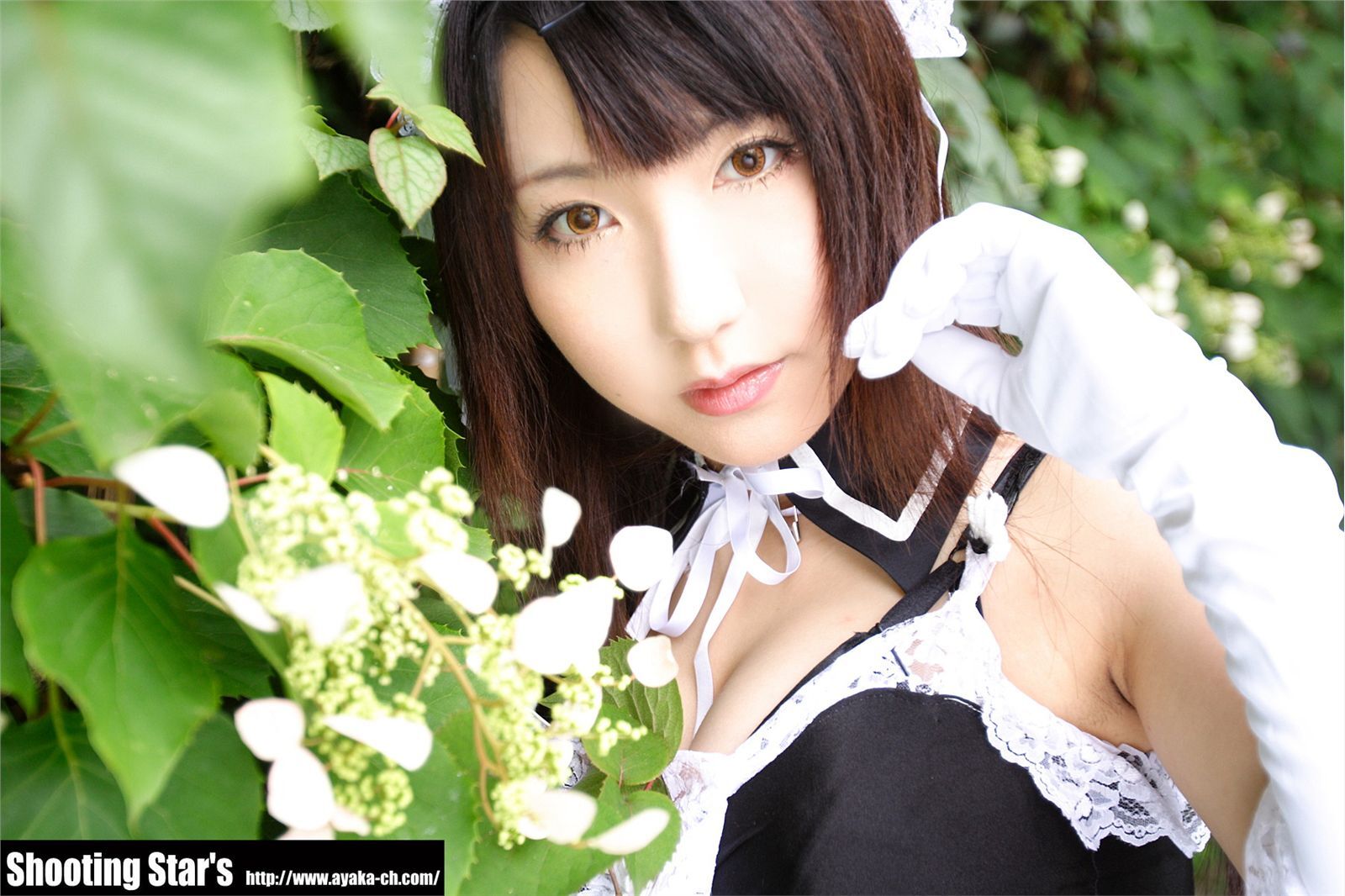 [Cosplay]  Sexy Maid with big boobs